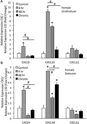 Expression and Function of Chemokines CXCL9-11 in Micturition Pathways in Cyclophosphamide (CYP)-Induced Cystitis and Somatic Sensitivity in Mice